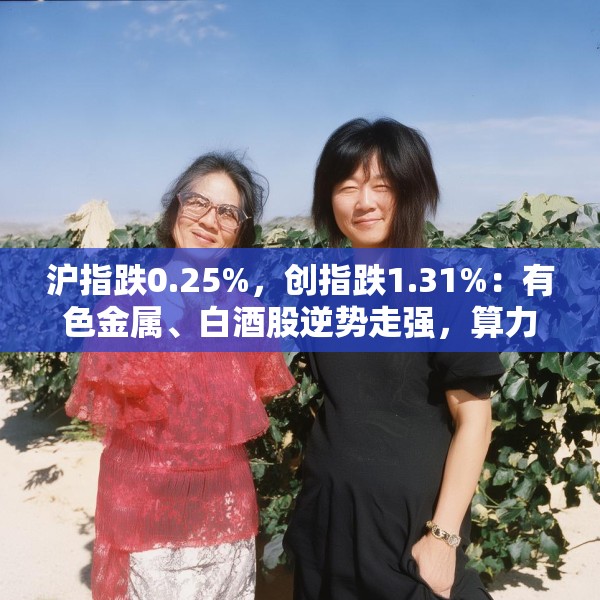 沪指跌0.25%，创指跌1.31%：有色金属、白酒股逆势走强，算力概念股回调