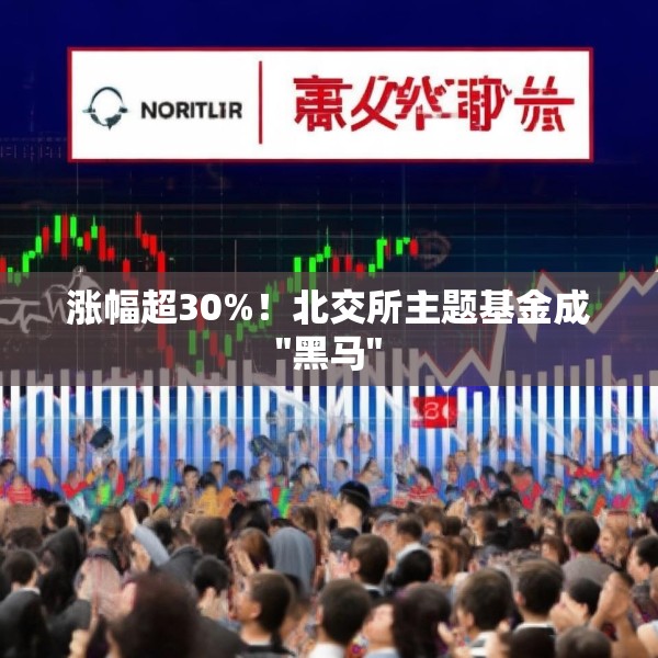 涨幅超30%！北交所主题基金成