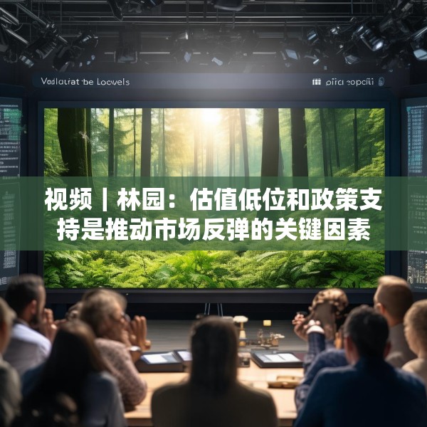视频｜林园：估值低位和政策支持是推动市场反弹的关键因素