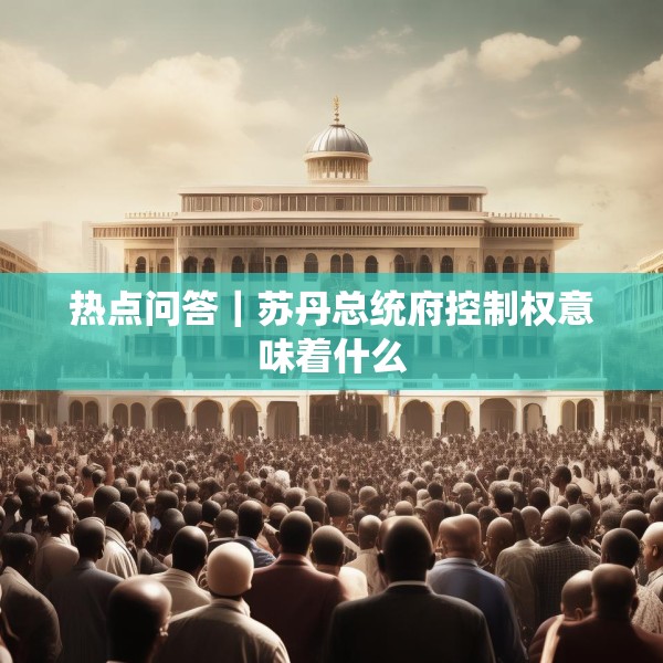 热点问答｜苏丹总统府控制权意味着什么