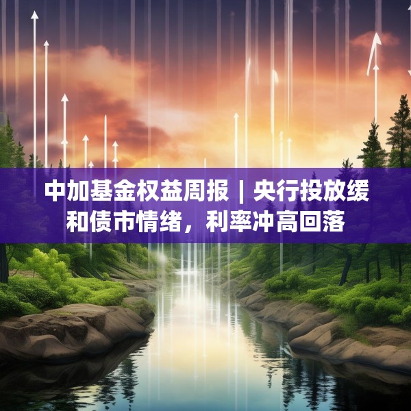 2025年3月26日 第13页