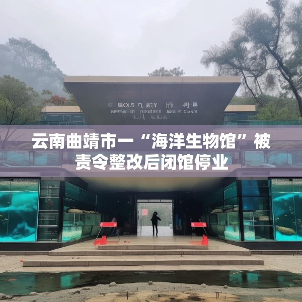 云南曲靖市一“海洋生物馆”被责令整改后闭馆停业