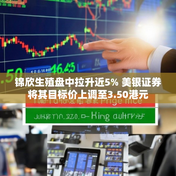 锦欣生殖盘中拉升近5% 美银证券将其目标价上调至3.50港元