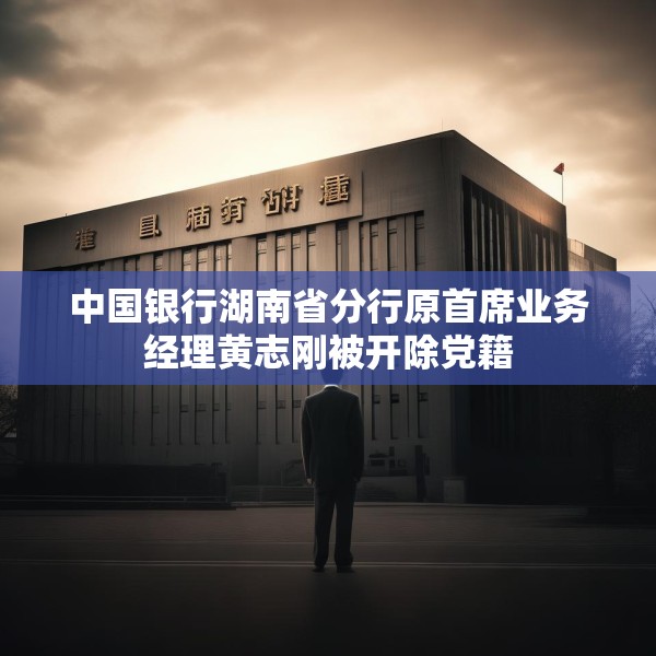 中国银行湖南省分行原首席业务经理黄志刚被开除党籍