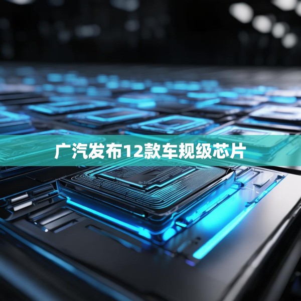 广汽发布12款车规级芯片