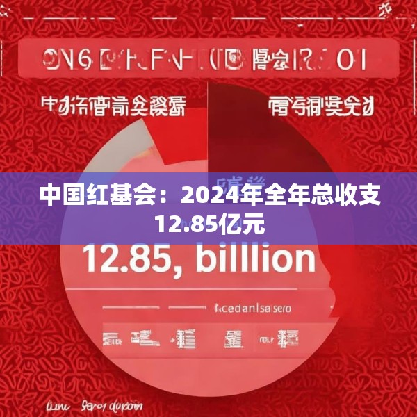 中国红基会：2024年全年总收支12.85亿元