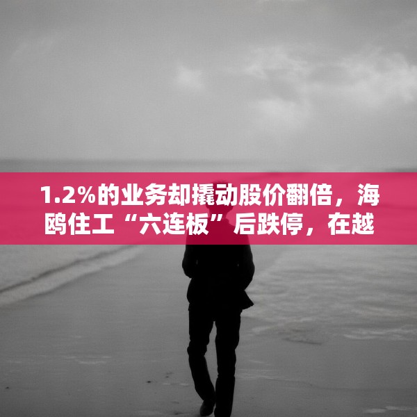 1.2%的业务却撬动股价翻倍，海鸥住工“六连板”后跌停，在越建厂能否扛住关税冲击？