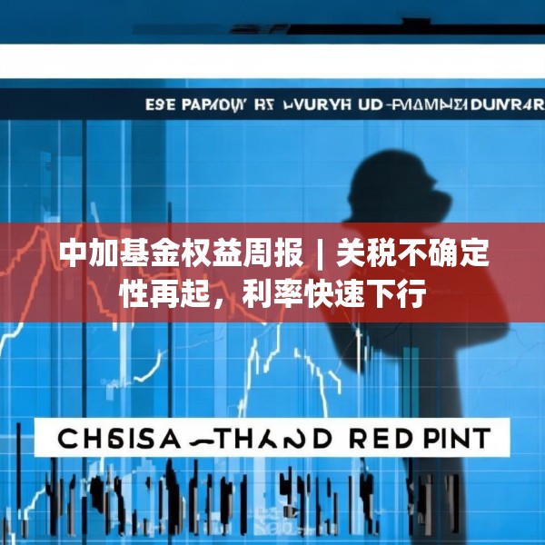 中加基金权益周报︱关税不确定性再起，利率快速下行