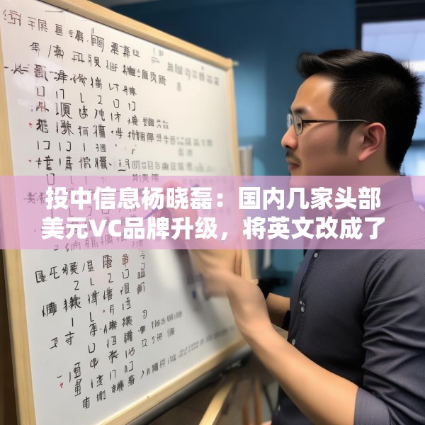 投中信息杨晓磊：国内几家头部美元VC品牌升级，将英文改成了拼音
