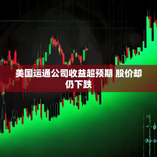 美国运通公司收益超预期 股价却仍下跌