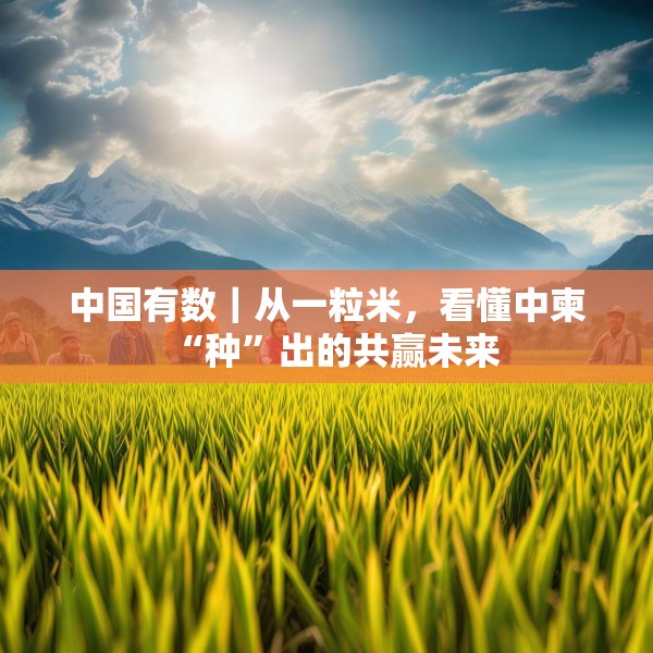 中国有数｜从一粒米，看懂中柬“种”出的共赢未来