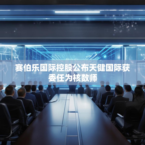 赛伯乐国际控股公布天健国际获委任为核数师