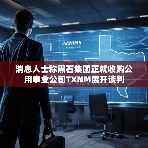 消息人士称黑石集团正就收购公用事业公司TXNM展开谈判