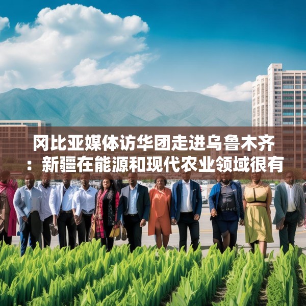 冈比亚媒体访华团走进乌鲁木齐：新疆在能源和现代农业领域很有借鉴意义