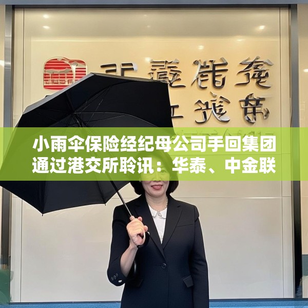 小雨伞保险经纪母公司手回集团通过港交所聆讯：华泰、中金联席保荐 连续两年亏损