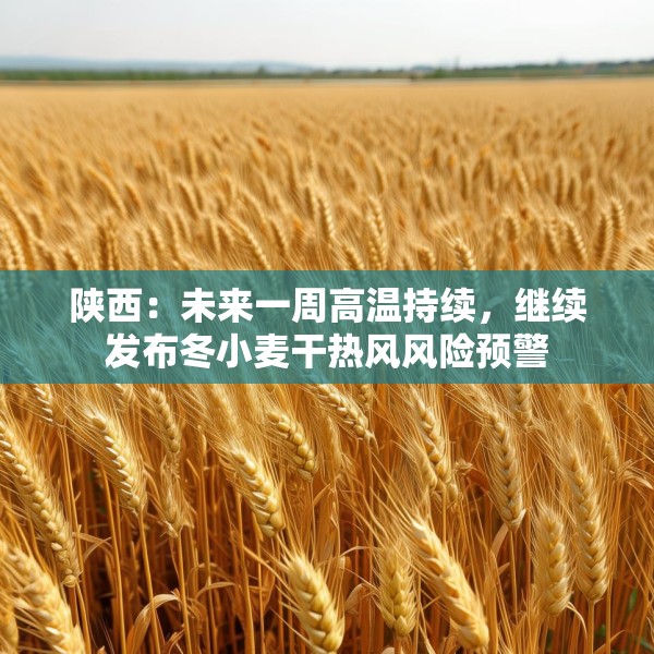 陕西：未来一周高温持续，继续发布冬小麦干热风风险预警