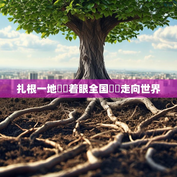 扎根一地  着眼全国  走向世界