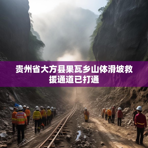 贵州省大方县果瓦乡山体滑坡救援通道已打通
