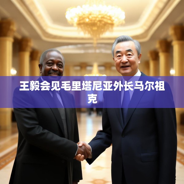 王毅会见毛里塔尼亚外长马尔祖克