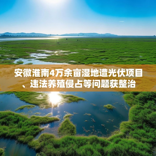安徽淮南4万余亩湿地遭光伏项目、违法养殖侵占等问题获整治