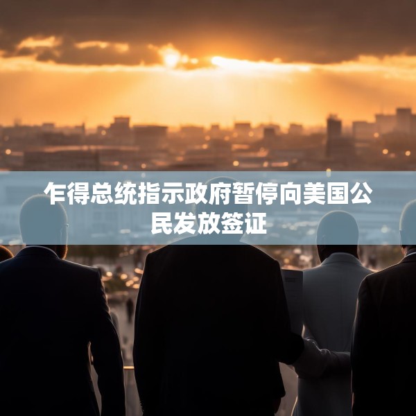 乍得总统指示政府暂停向美国公民发放签证