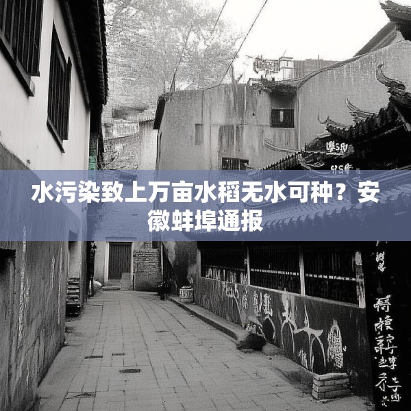 水污染致上万亩水稻无水可种？安徽蚌埠通报
