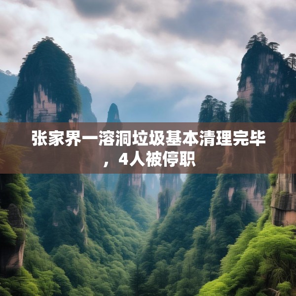 张家界一溶洞垃圾基本清理完毕，4人被停职
